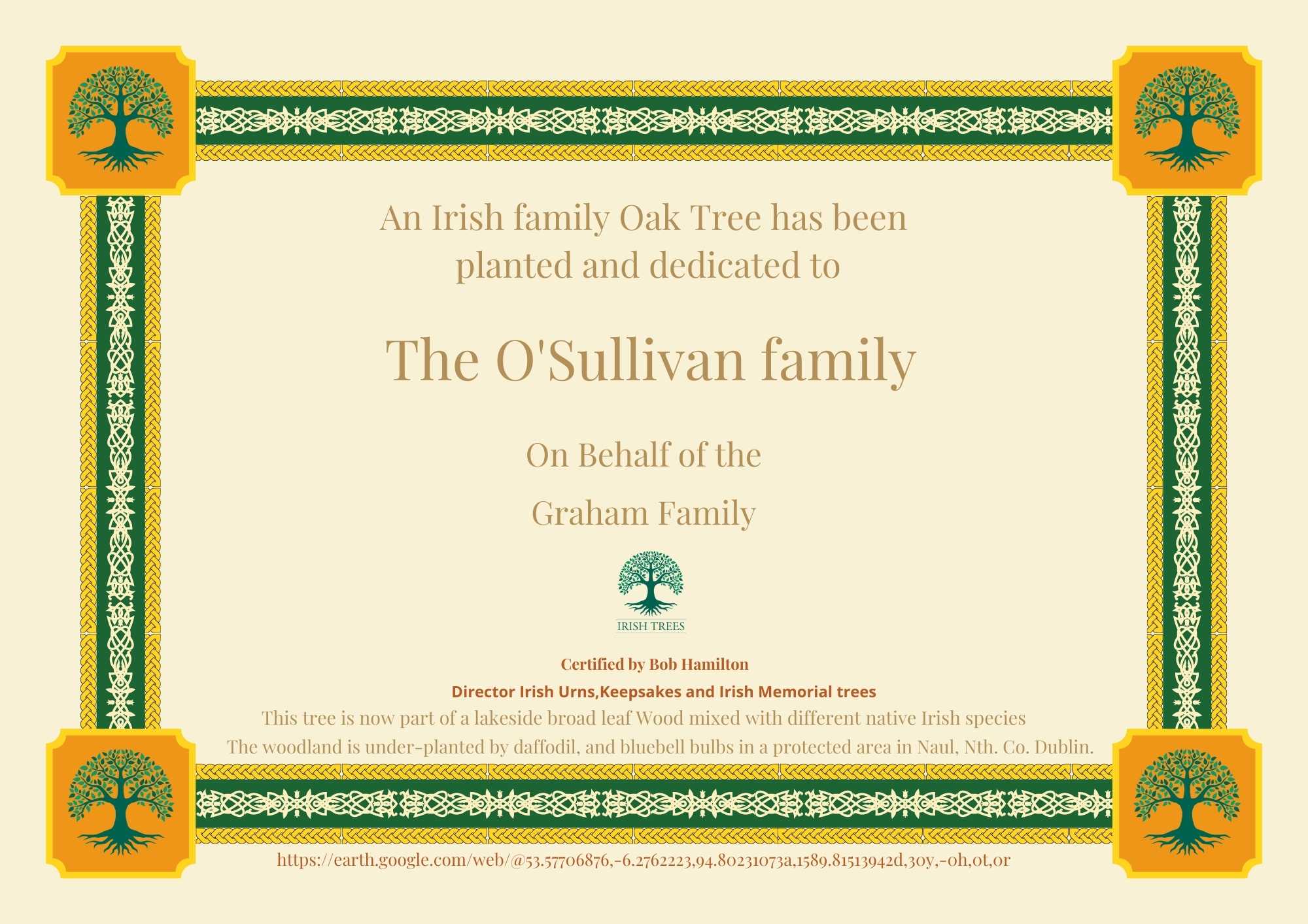 how can i trace my family tree for free in ireland