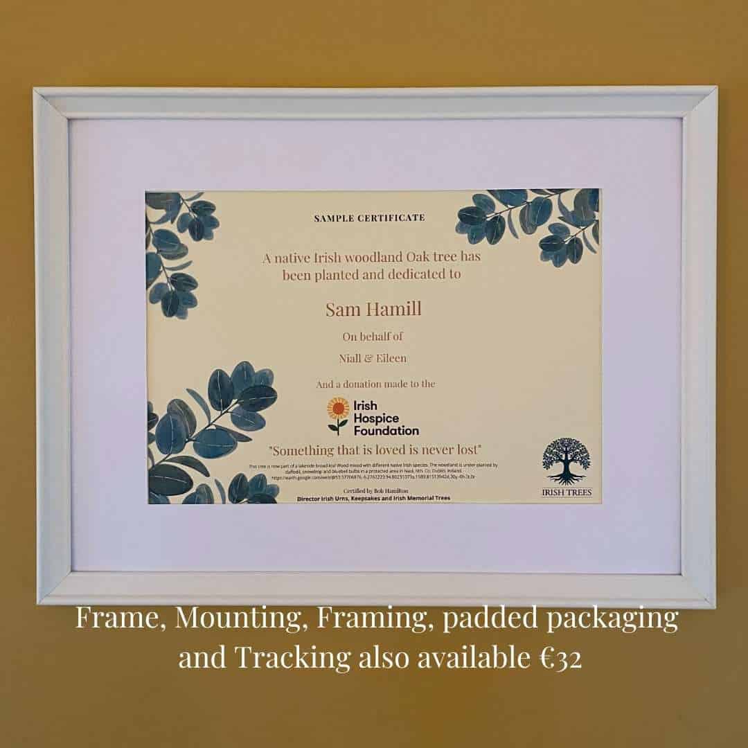 Planting Certificate example in white frame on mustard wall