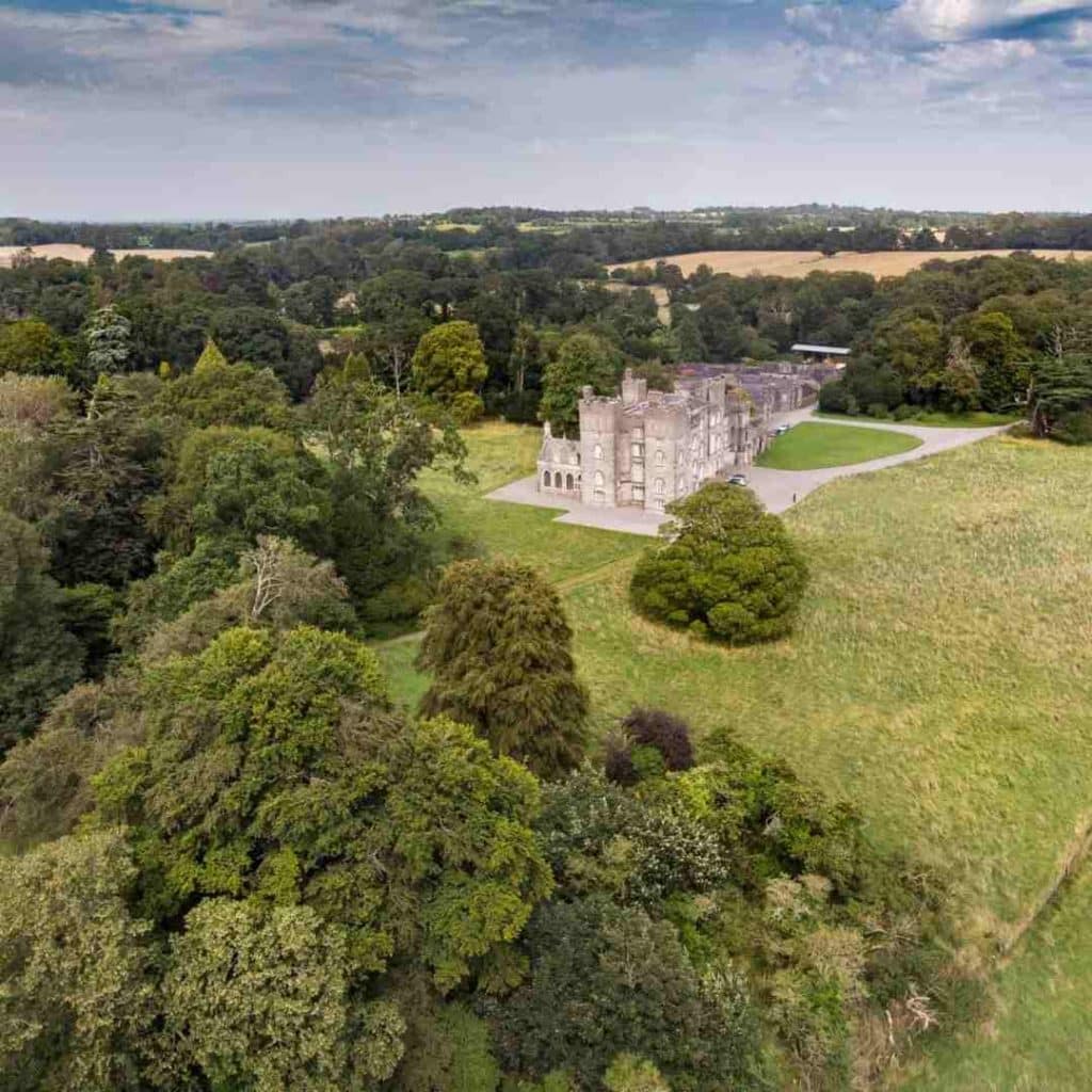 Rewilding with irish trees at Dunsany Castle and Estate