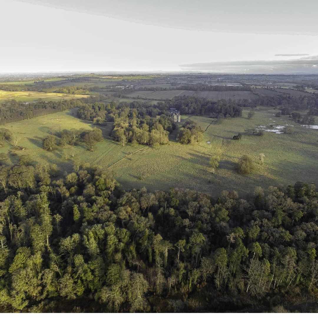 Aerial photo of trees over dunsany