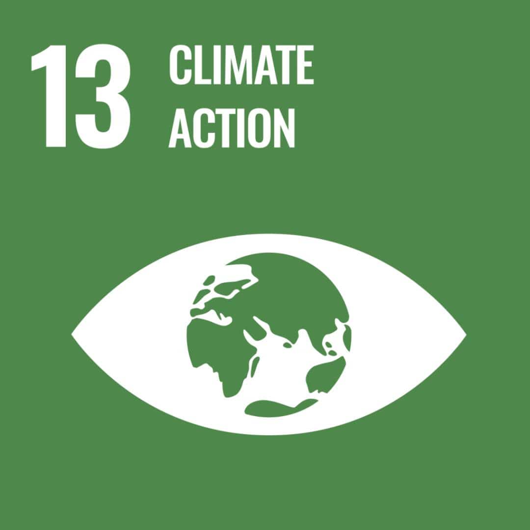 Climate action EU sustainable goals