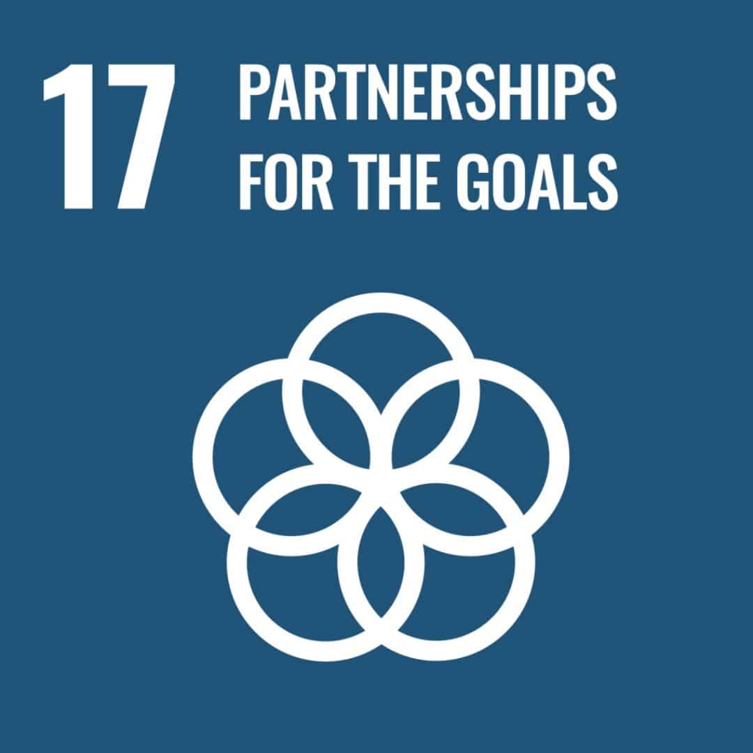 Partnerships for Goals Eu sustainable goals