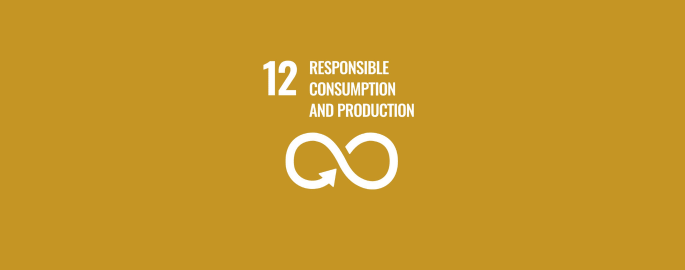 Responsible Consumption & Production | SDG #12
