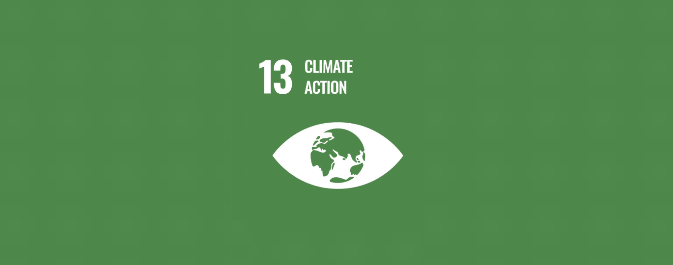 Climate Action | SDG #13