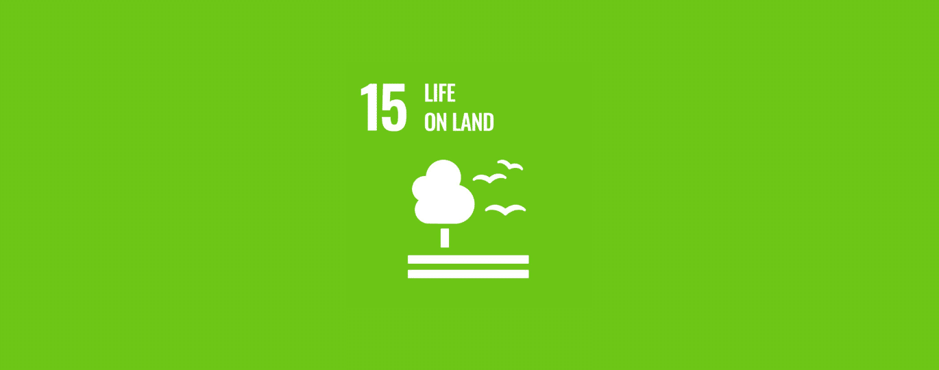 Life on Land | SDG #15