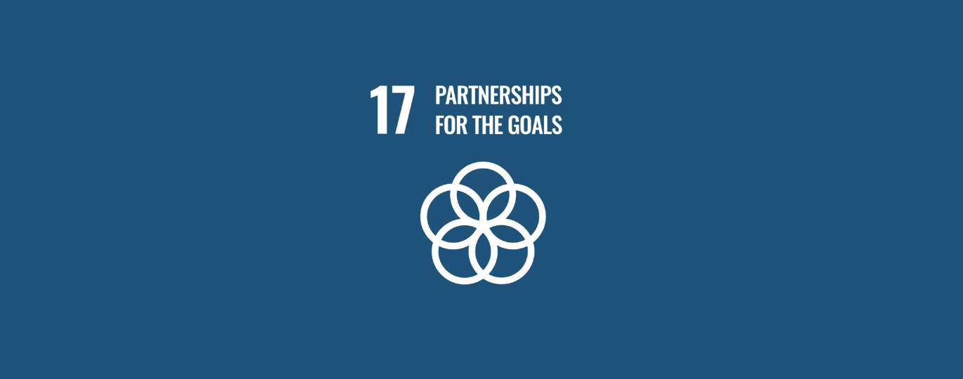 Partnerships for the Goals | SDG #17