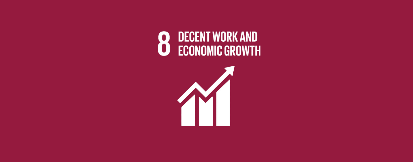Decent work and economic growth | SDG #8