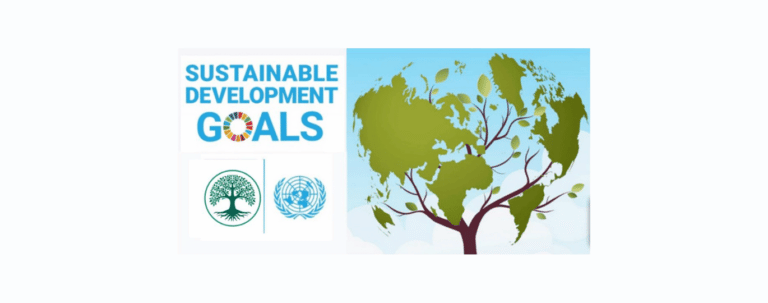 UNITED NATIONS - SUSTAINABLE DEVELOPMENT GOALS | Irish Trees