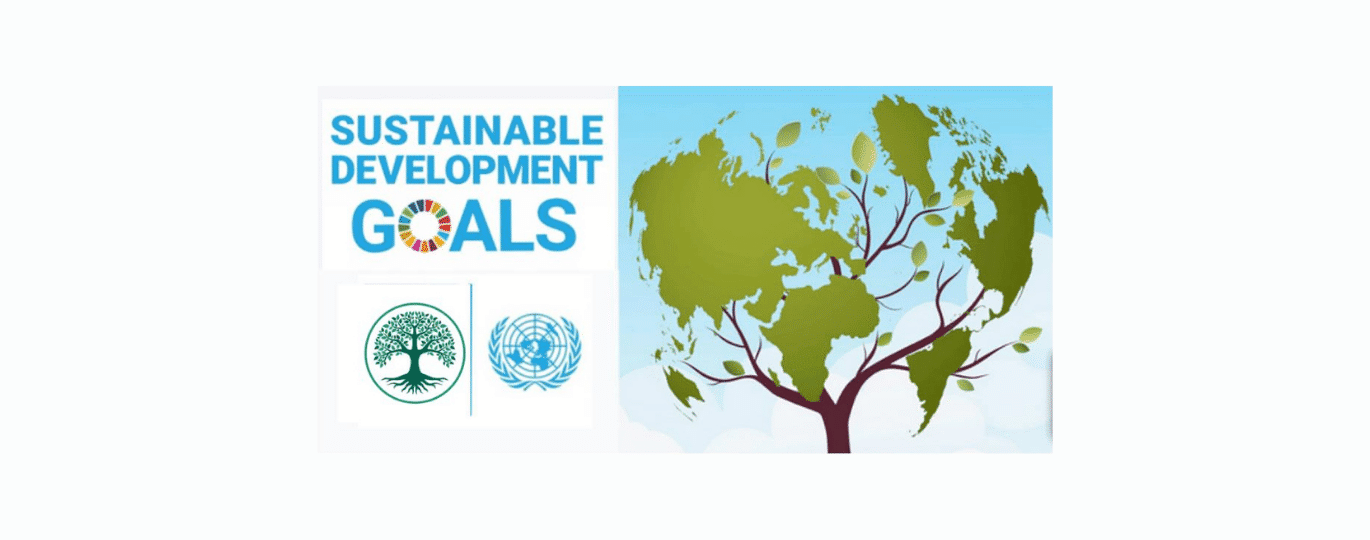 SDG header and logo for UN's SDG's aligned with IrishTrees