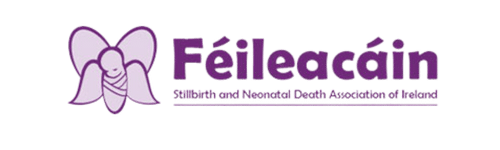 Feileacain logo Irish Trees Charity partner