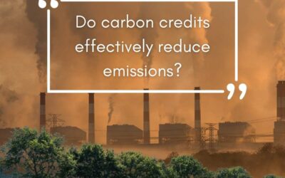 Do carbon credits effectively reduce emissions?