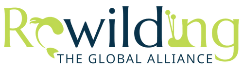 Global Rewilding Logo