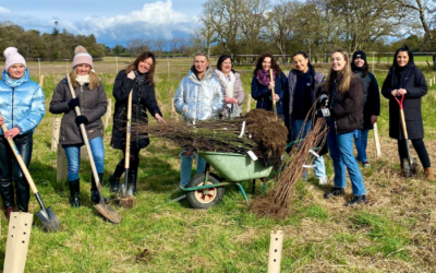 Business Tree Planting