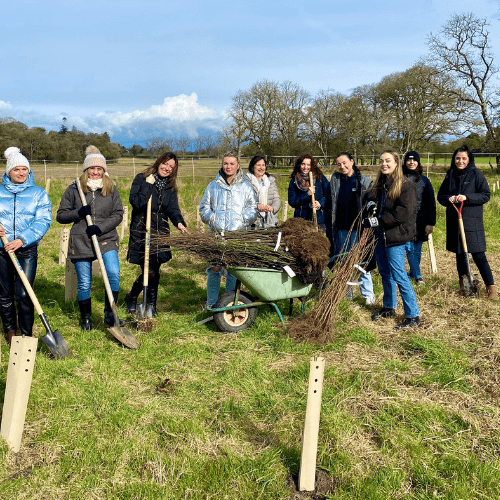 Business tree planting Dunsany Nature Reserve Meath ireland