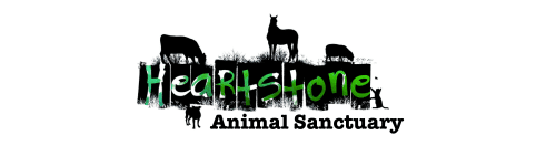 Heartstone Animal Sanctuary logo with animal profiles on logo