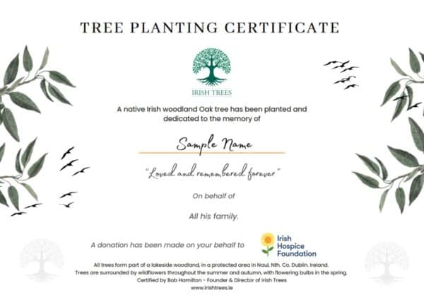 Irish Memorial Trees Ireland Ash scattering Irish Hospice Foundation