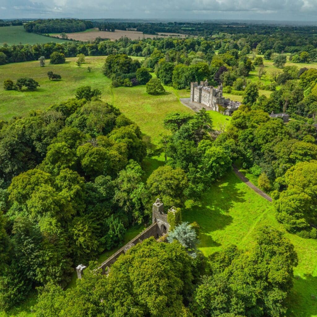 %Irish Trees Planting Dunsany Rewilding Project memorial trees %