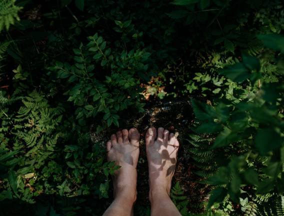 forest bathing