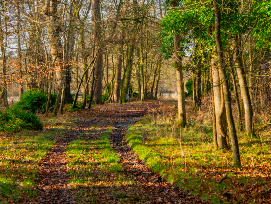 tractor trail