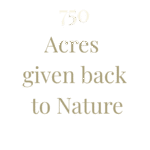 750 acres given back to nature