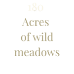 180 acres of wild meadows