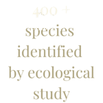 400 species identified by ecological study